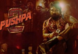 Pushpa 2-The Rule (2024)