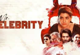Mr. Celebrity (2025)